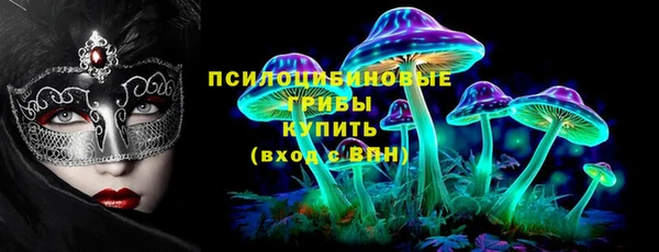 spice Беломорск