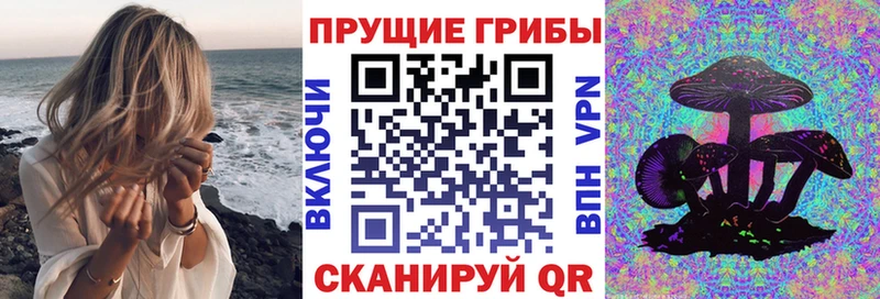 дарк нет официальный сайт  Олёкминск  Псилоцибиновые грибы ЛСД 